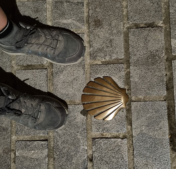 1100 kilomètres vers l'essentiel